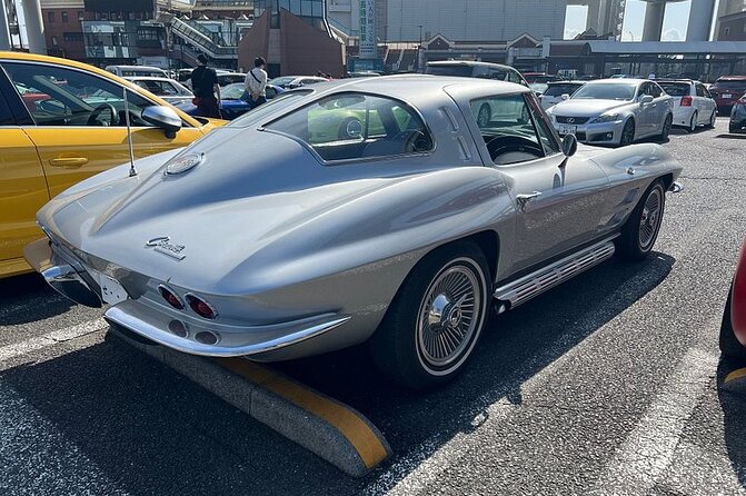 Tokyo & Daikoku PA. Custom Car & Lead Car Tour - Best Time to Visit