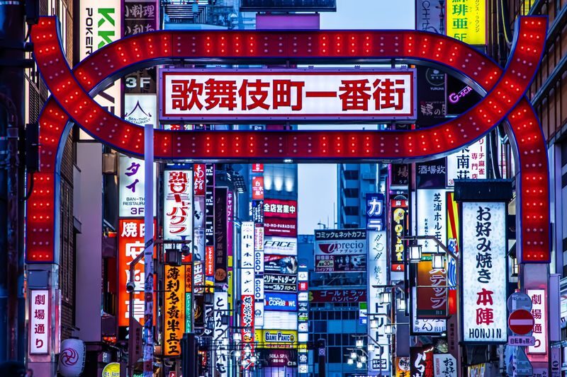 Tokyo Dark Side of Tokyo Shinjuku Red Light Walking Tour - What to know before you go