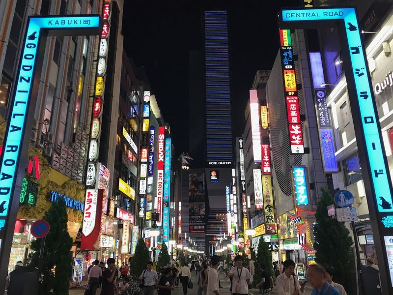 Tokyo Dark Side of Tokyo Shinjuku Red Light Walking Tour - Shinjuku after dark, with a guide to connect the dots