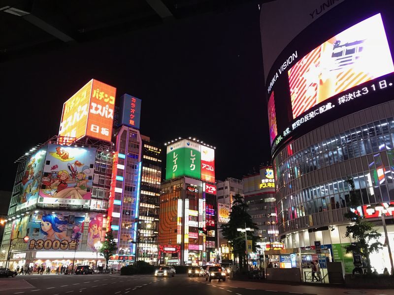 Tokyo Dark Side of Tokyo Shinjuku Red Light Walking Tour - Hanazono Shrine: a quieter pause on a nightlife route