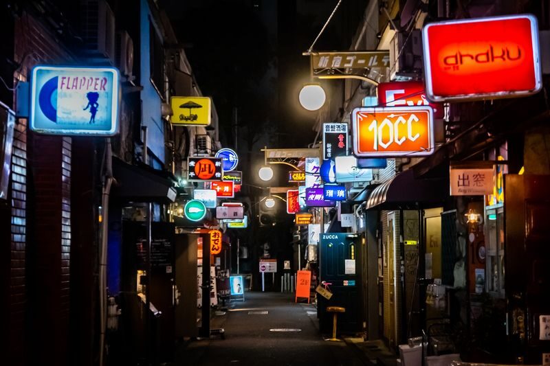 Tokyo Dark Side of Tokyo Shinjuku Red Light Walking Tour - Is US$28.39 good value?