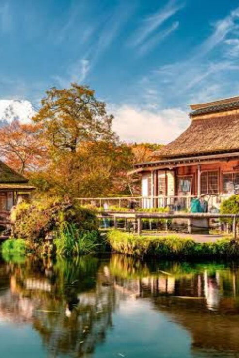 Tokyo Day Trip -Mount Fuji Private Tour From Tokyo - Itinerary Highlights