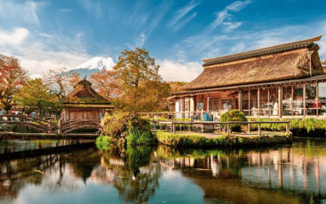 Tokyo Day Trip -Mount Fuji Private Tour From Tokyo - Tour Features and Inclusions
