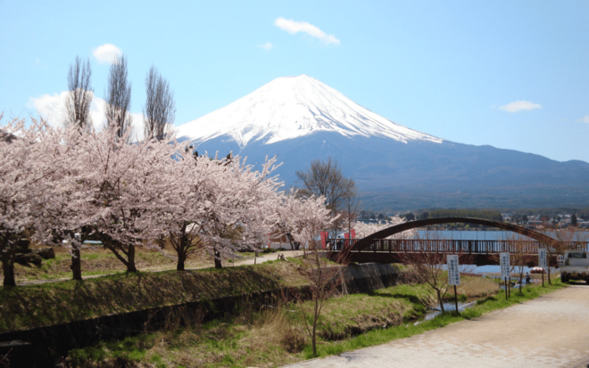 Tokyo Day Trip -Mount Fuji Private Tour From Tokyo - Customer Reviews