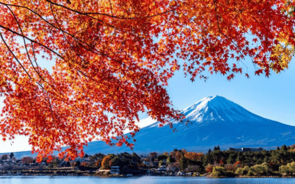 Tokyo Day Trip -Mount Fuji Private Tour From Tokyo - Tips for a Memorable Experience