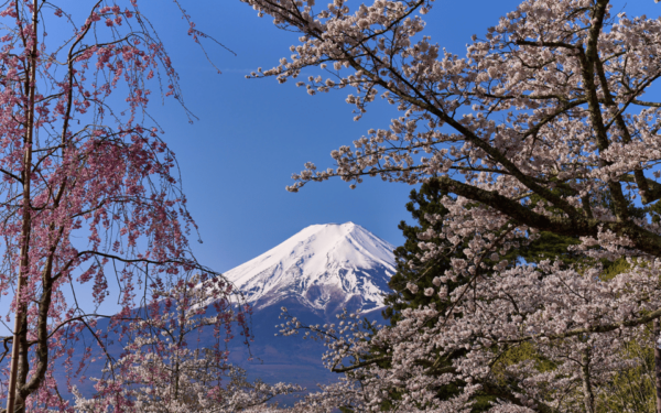 Tokyo Day Trip -Mount Fuji Private Tour From Tokyo - Frequently Asked Questions