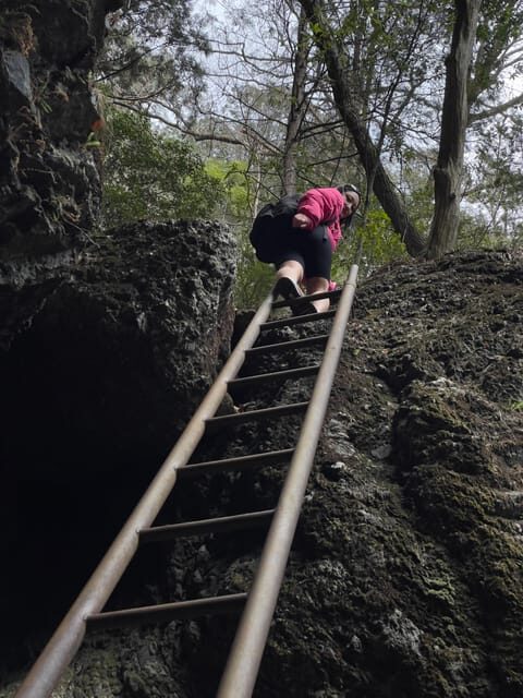 Tokyo Day Trip : Mountain Ridge Adventure - Pricing and Value Analysis