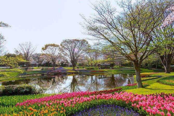 Tokyo Day Trip Showa Kinen Park Seasonal Flowers and Nature Walk - Is It Worth the Price?