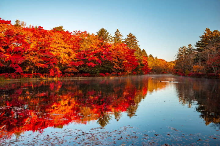 Tokyo Departure | Nikko/Karuizawa/Gunma/Yokohama Customized Private Car Charter Day Trip - Karuizawa: a highland break with room to customize