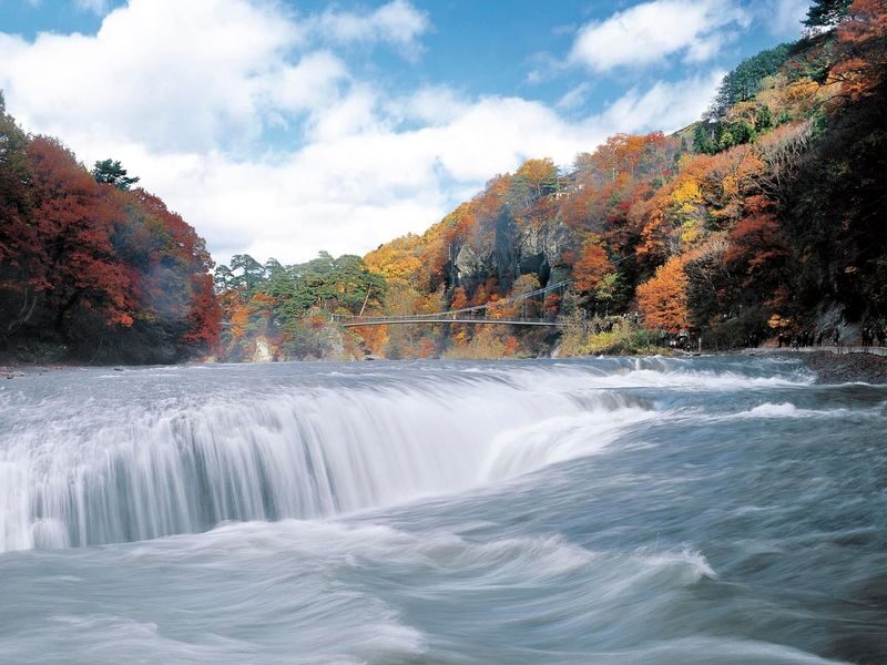 Tokyo Departure | Nikko/Karuizawa/Gunma/Yokohama Customized Private Car Charter Day Trip - Communication and planning without a tour guide