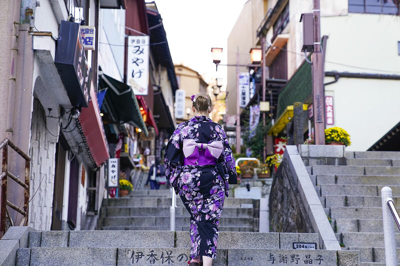 Tokyo Departure | Nikko/Karuizawa/Gunma/Yokohama Customized Private Car Charter Day Trip - Is this charter worth booking?