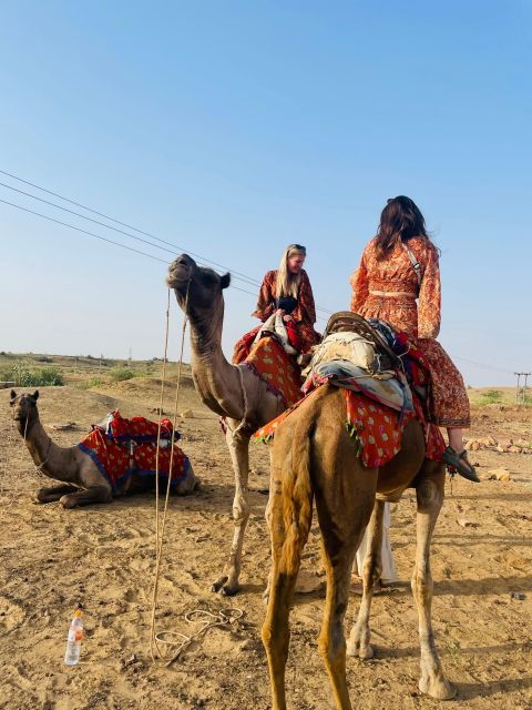 Tokyo Desert Safari Overnight Thar Desert Experience - Essential Information and Guidelines