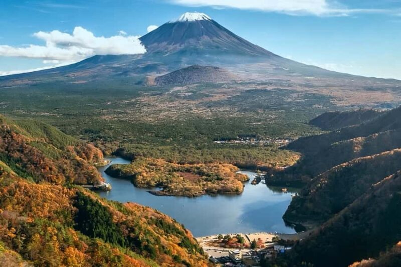 Tokyo: Different Views of Mt Fuji: 3 Lakes & Train Day Tour - Who Will Love This Tour?