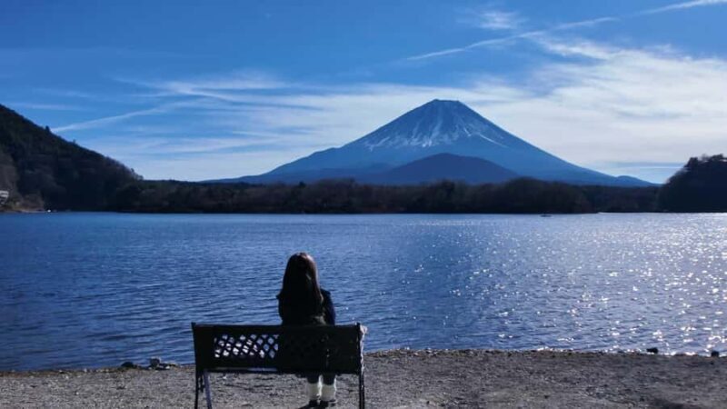 Tokyo: Different Views of Mt Fuji: 3 Lakes & Train Day Tour - Final Thoughts