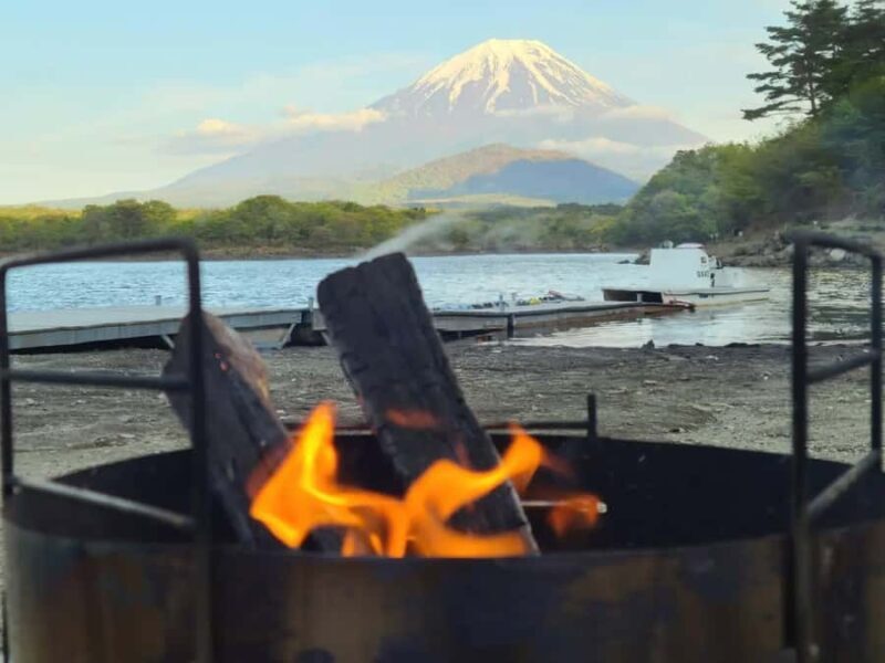 Tokyo: Different Views of Mt Fuji: 3 Lakes & Train Day Tour - Is It Worth the Price?