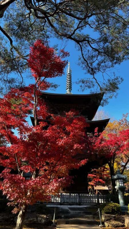 Tokyo: Discounted Customizable Walking Tour (ENG/Español) - Who Should Consider This Tour?