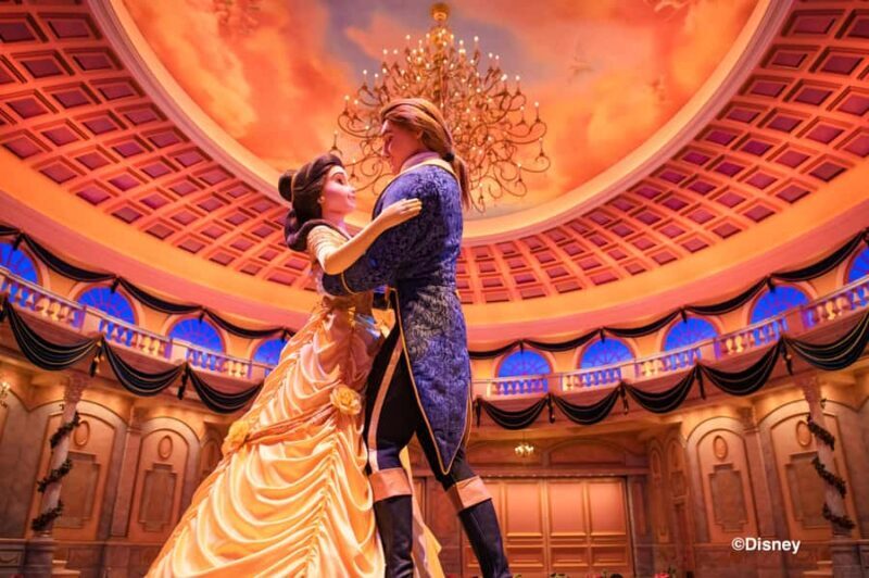 Tokyo Disney Resort: 1-Day Park Hopper Passport - What’s Included and What to Expect