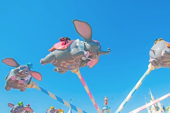Tokyo Disney Resort Park Admission - Who Should Consider This Tour?