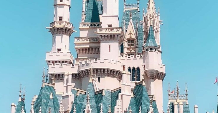 Tokyo: Disneyland and DisneySea Private Transfer - Good To Know