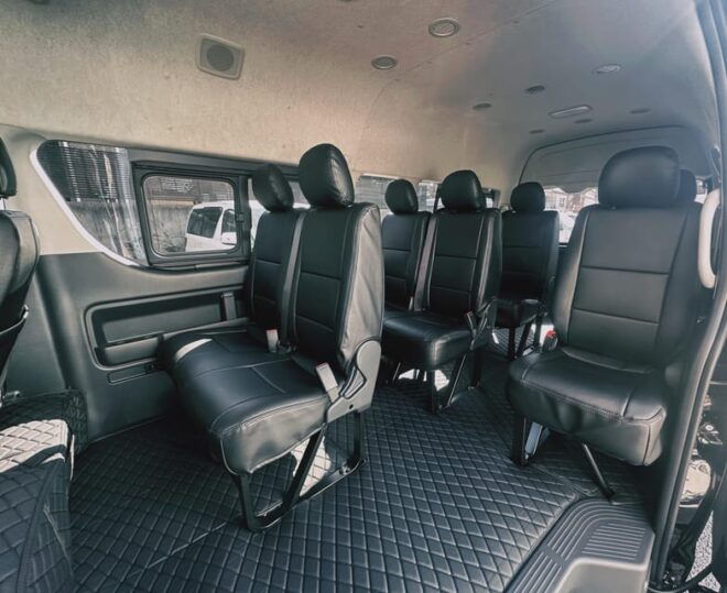 Tokyo: Disneyland and DisneySea Private Transfer - Driver Qualifications