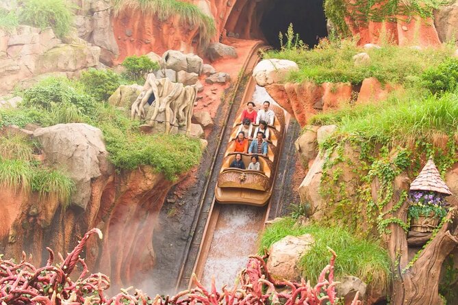 Tokyo Disneyland Park Japan Admission Ticket - Important Reminders