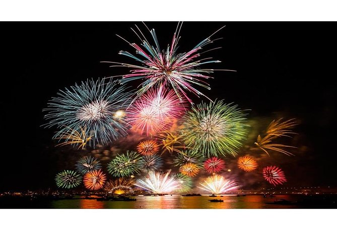 Tokyo Disneyland Shared Transfer : From Tokyo to Disneyland (One Way) - Important Reminders and Contact Information