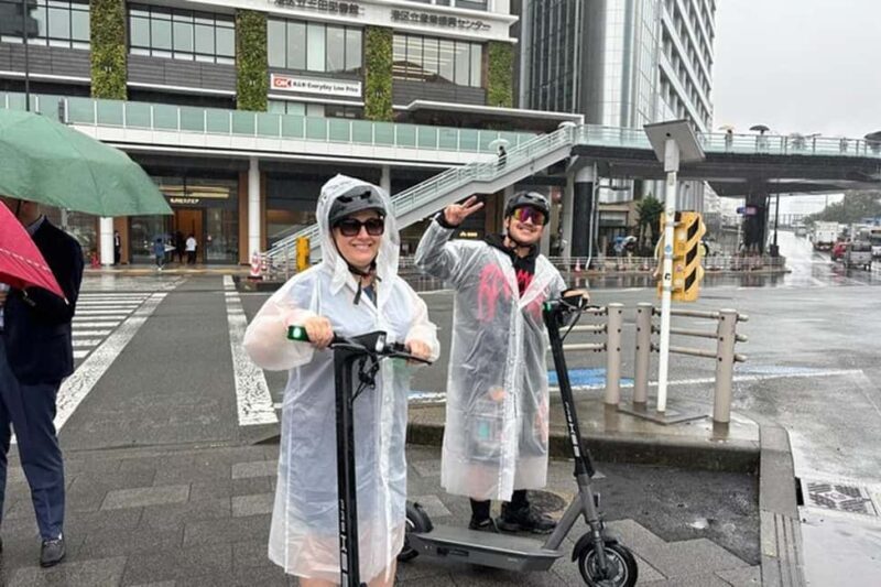 Tokyo: E-scooter Ride around the Imperial Palace area - Final Thoughts: Who Will Love This Tour?