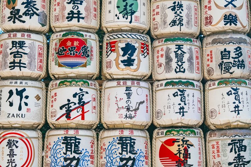 Tokyo Early Morning Tour Asakusa Meiji Shrine and Tsukiji Market - Train rides that teach you how Tokyo works