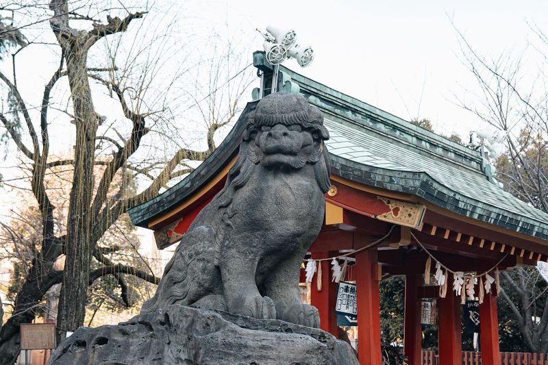 Tokyo Early Morning Tour Asakusa Meiji Shrine and Tsukiji Market - Is $61.50 good value?