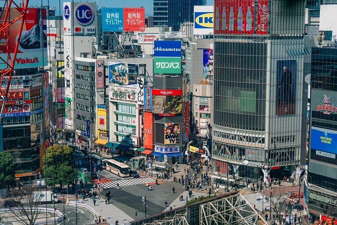 Tokyo Early Morning Tour Asakusa Meiji Shrine (Private Opt) - Final Thoughts: Who Will Love This Tour?