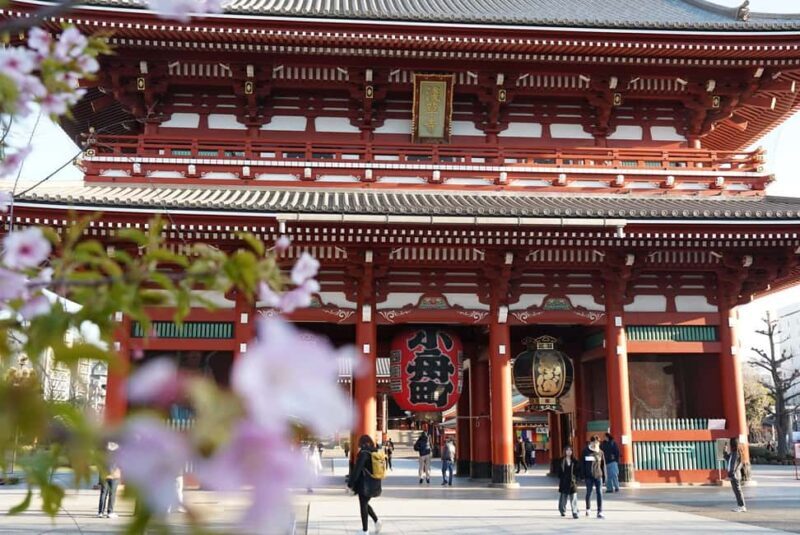 Tokyo Early Morning Tour Asakusa Tsukiji Meiji Shrine - Authentic and Insightful Guides
