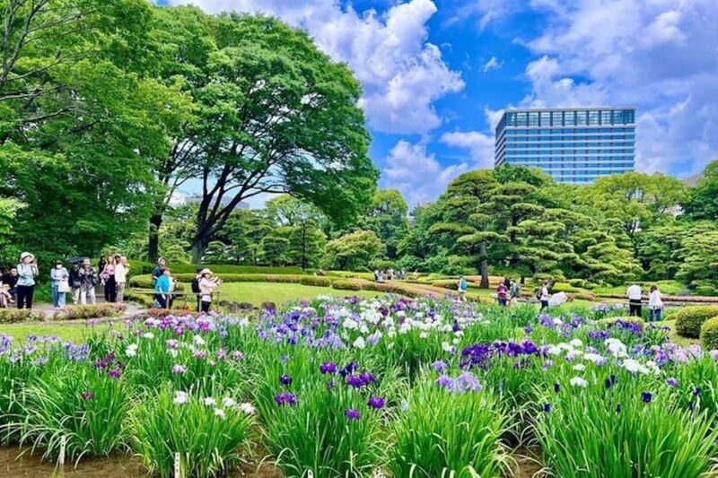 Tokyo: East Garden of the Imperial Palace with History Guide - Who Will Love This Experience?