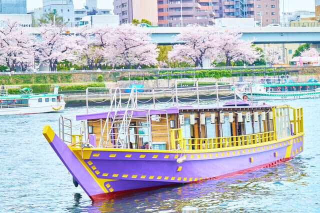 Tokyo Edomae Kisen (Yakatabune) Water Cruise Tour (with Meals) - Should you book this Tokyo yakatabune?