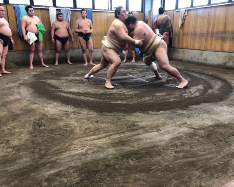 Tokyo: Exclusive Access to Sumo Morning Practice with Photos - Good To Know