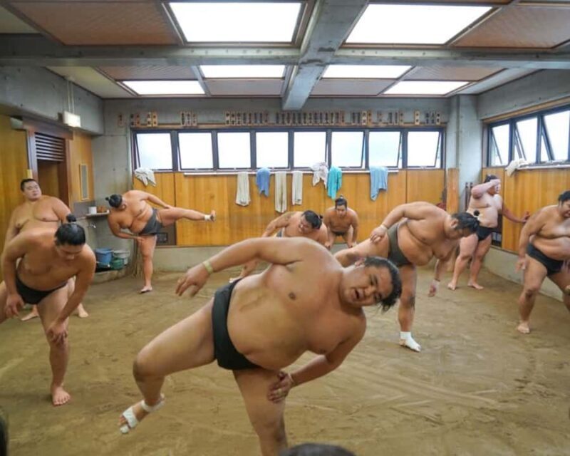 Tokyo: Exclusive Access to Sumo Morning Practice with Photos - Analyzing the Experience: What You Can Expect