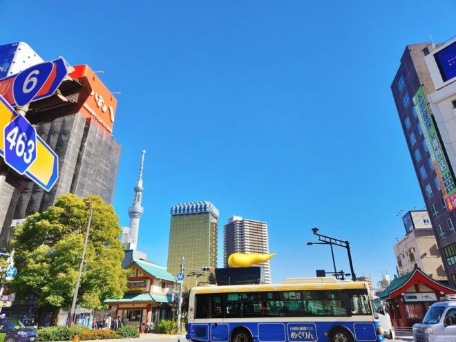 Tokyo : Exclusive Private Day Tour With Personalized Guide - Itinerary Planning