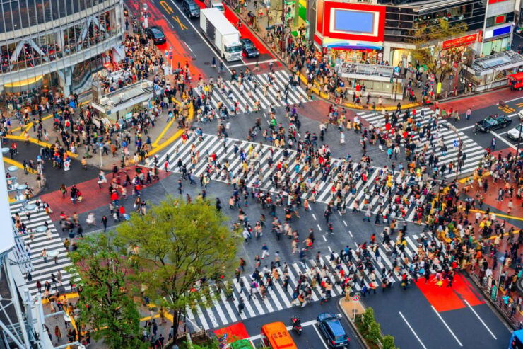 Tokyo: Exlusive Private Tour With English Speaking Chauffeur - Good To Know