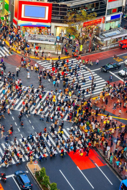 Tokyo: Exlusive Private Tour With English Speaking Chauffeur - Why Choose a Private Tour