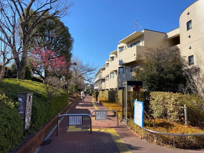 Tokyo: Explore the Authentic Life of a Residential Neighborhood - Real Insights from Past Participants