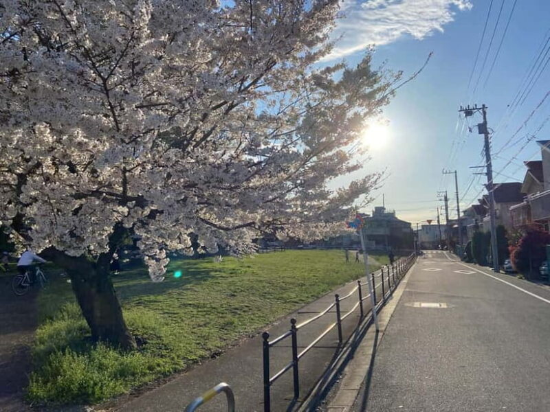 Tokyo: Explore the Authentic Life of a Residential Neighborhood - Good To Know