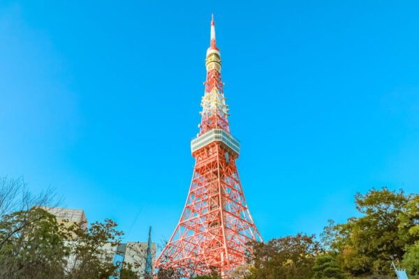 Tokyo: Explore With Expert Guides on a Private Tour - Experience Tokyos Culture