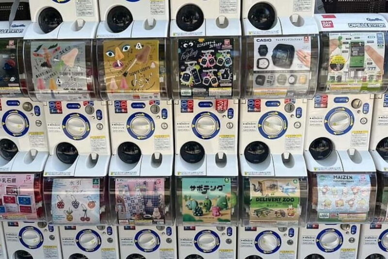 Tokyo: Exploring Anime & Electronics Tour in Akihabara - Good To Know