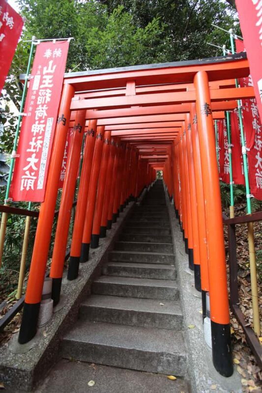 Tokyo: Feng Shui, Red Torii & Neon Private Tour - Discovering Tokyo’s Spiritual Boundaries