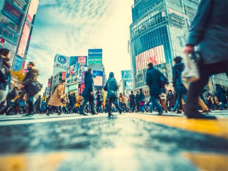 Tokyo Food & Culture Private Tour & Authentic Yakitori Lunch - Who Is This Tour For?