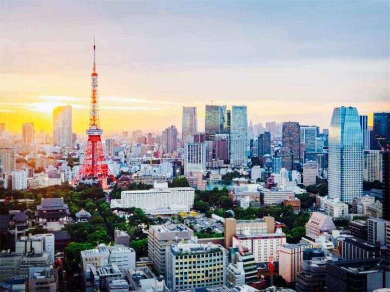 Tokyo Food & Culture Private Tour & Authentic Yakitori Lunch - FAQ