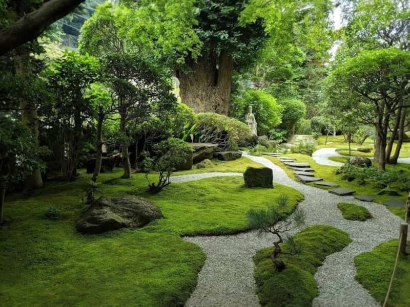 Tokyo Food & Culture Private Tour & Authentic Yakitori Lunch - FAQ