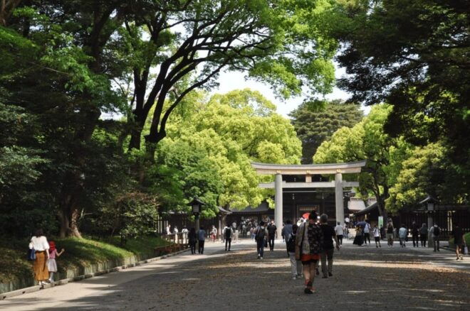 Tokyo & Fuji: Premium Car 2-Day Private Tour - Premium Comfort Experience