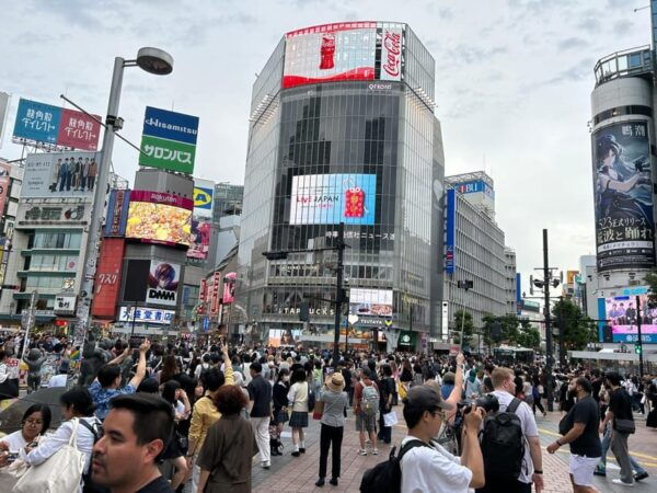 Tokyo & Fuji: Premium Car 2-Day Private Tour - Important Tour Information