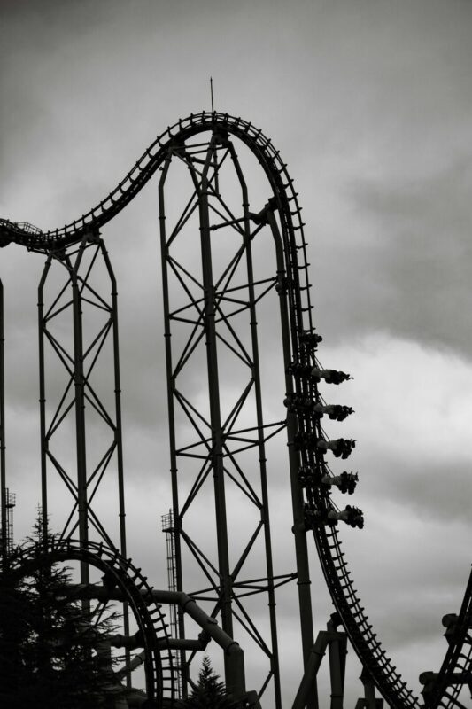 Tokyo Fuji-Q Highland Full-Day Private Customizable Tour - The value of a private plan