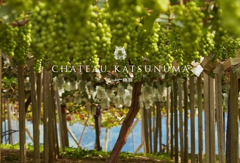 Tokyo Fuji Summer Fireworks and Peach Picking Tour - What the transport and guiding add